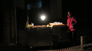 Οι καστανάδες της Αθήνας, του Ηλία Προβόπουλου