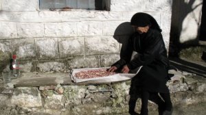 Η Δημήτρω και η σκιά της, του Ηλία Προβόπουλου