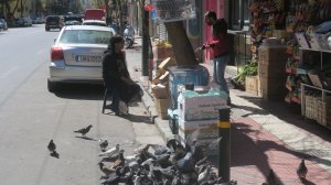 Καρδερίνες και περιστέρια στην Αχαρνών, του Ηλία Προβόπουλου