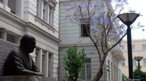 O ποιητής χωρίς τη σκιά της τζακαράντας 