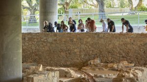 Μουσείο Ακρόπολης: Συμμετέχει στις «Πράσινες Πολιτιστικές Διαδρομές!»