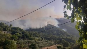 Μάχη με αναζωπυρώσεις δίνουν στην Κέρκυρα οι δυνάμεις κατάσβεσης - Σε εξέλιξη οι πυρκαγιές σε Ρόδο, Κάρυστο και Δερβενάκια!