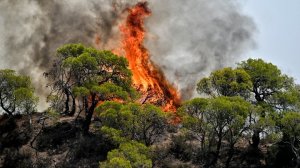 Μαίνεται η πυρκαγιά στη Ρόδο - Χωρίς ενιαίο ενεργό μέτωπο οι φωτιές σε Δυτική Αττική και Λουτράκι!