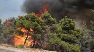Πολύ υψηλός κίνδυνος πυρκαγιάς σήμερα για 5 περιφέρειες - Στους 44 βαθμούς το θερμόμετρο!
