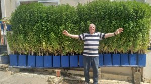 Ηλίας Προβόπουλος: Αυτοί κι αν είναι βασιλικοί!