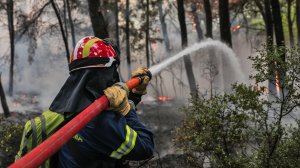 Μάχη με τα πύρινα μέτωπα - Τραυματίστηκαν πυροσβέστες στην Καβάλα!