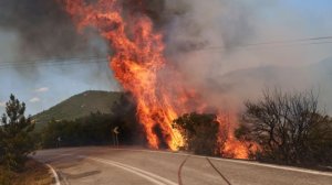 Πυρκαγιά - Έβρος: Σοβαρές οι επιπτώσεις στις επιχειρήσεις - Ζημιές σε 120.000 τ.μ. βιομηχανικών κτηρίων!