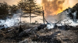 Χανιά: Συνελήφθη άνδρας για εμπρησμό από αμέλεια!