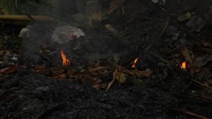 Πώς να καθαρίσετε περιοχές από όπου πέρασε η φωτιά και ο καπνός!