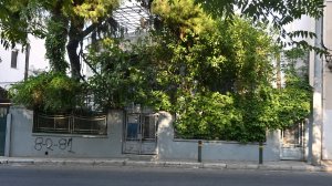 Ηλίας Προβόπουλος: Ένα σπίτι με αυλή στον Κολωνό