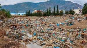 Ηλίας Προβόπουλος: Από που ήρθαν όλα αυτά τα πλαστικά;