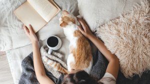 Generali: H τέχνη του hygge, όλο το μυστικό για την ευτυχία!