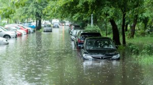 Παρατείνεται για 6 μήνες η ισχύς των αδειών οδήγησης για τις πληγείσες περιοχές!