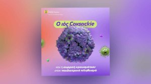 Coxsackie - Κοξάκι: Όλα όσα πρέπει να ξέρετε!