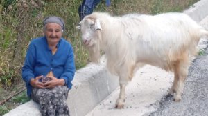 Ηλίας Προβόπουλος: Η τελευταία των ανεξάρτητων ανθρώπων