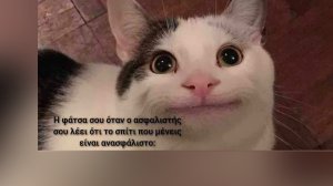 Μπορείς να πουλήσεις ασφάλειες απο το tiktok;