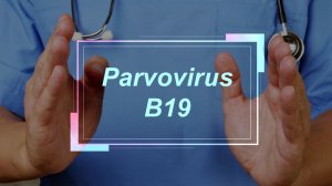 Σε επιφυλακή οι επιστήμονες για τον ιό Parvovirus B19!