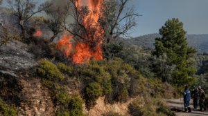 Φωτιά στην Αργολίδα και την Λεωφόρο Κερατέας - Αναβύσσου!