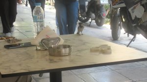 Ηλίας Προβόπουλος: Ένας θαρραλέος σπουργίτης