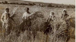 Ηλίας Προβόπουλος: Θερίζοντας τις αναμνήσεις