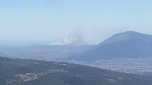 Φωτιά τώρα κοντά στο αεροδρόμιο Ελευθέριος Βενιζέλος!