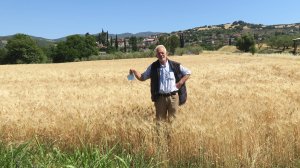 Ηλίας Προβόπουλος: Άλλο η φύση που ξέραμε κι άλλο το περιβάλλον που νοιάζονται…