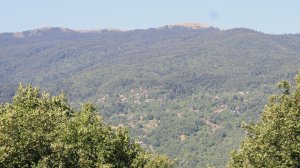 Ηλίας Προβόπουλος: Ο Θεός να μας φυλάει από τη φωτιά!