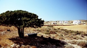 Ηλίας Προβόπουλος: Η μπανιέρα που έγινε πισίνα!