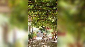 Ηλίας Προβόπουλος: Κάτω από μια κρεβατίνα!