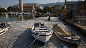 Περιβαλλοντική Αστική Ευθύνη! Ποιος είναι υπεύθυνος; - Τι γίνεται με τα νεκρά ψάρια στον Βόλο;