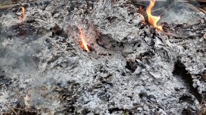 ΕΟΔΥ: Οδηγίες προστασίας κατά τη διάρκεια καθαρισμών μετά από πυρκαγιές