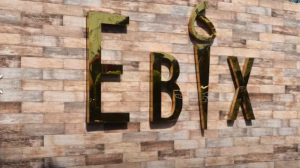 Η Ebix Inc βγαίνει από το κεφάλαιο 11