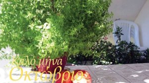 Ηλίας Προβόπουλος: Καλό μήνα να έχουμε όλοι!