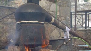 Ηλίας Προβόπουλος: Ήρθε ο καιρός για τα τσίπουρα!