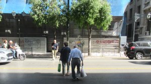 Ηλίας Προβόπουλος: Παντού υπάρχει χώρος για μια ελιά!