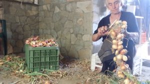 Ηλίας Προβόπουλος: Τιμή για την γυναίκα αγρότισσα!