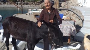 Ηλίας Προβόπουλος: Η Ρηνιώ της Κίναρου απόκτησε παρέα