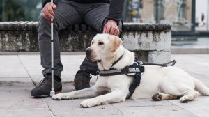 Μήπως ήρθε η ώρα για «Συμβόλαια Συμπερίληψης»;