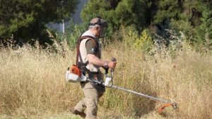 Το Κούρεμα των Χόρτων νωρίς την Άνοιξη Καταστρέφει τη Βιοποικιλότητα στο Αστικό και Περιαστικό Πράσινο