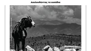 Έκθεση φωτογραφίας «Ακολουθώντας τα κοπάδια»
