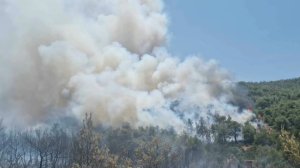 Φωτιά στο Γραμματικό: Εντολή για προληπτική απομάκρυνση από Άνω Σούλι και Μαραθώνα - Ενισχύονται και τα εναέρια μέσα