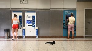 Ο Μπλάκυ δροσίζεται στο Μετρό των Σεπολίων