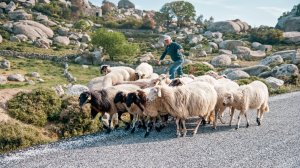 Οι άνθρωποι της Τήνου και τα έργα τους