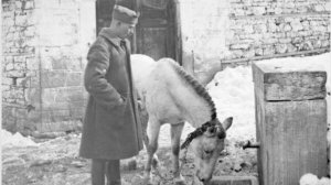 Ο Νίκος Καββαδίας γράφει για το άλογό του