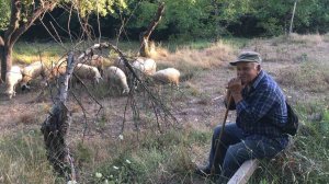 Η αγαθή σκιά που άφησε ένας άνθρωπος