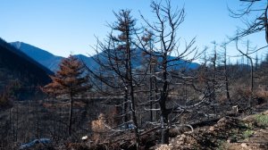 Υπεγράφη η έγκριση του Εθνικού Χάρτη Εκτίμησης Κινδύνου Δασικών Πυρκαγιών
