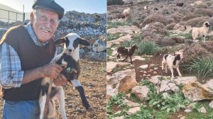 Όσα ξέρει ο Νικόλας για το αρνάκι του…