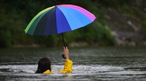 Τι πρέπει να γνωρίζει ο πελάτης ώστε να μην ασφαλίζεται μόνο για την υποχρεωτικότητα;