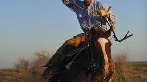 Στελέχη με ύφος cowboy που ρίχνει το λάσο... Διαβάστε ένα ενδιαφέρον σχόλιο