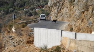 Εκτός κινδύνου η 34χρονη που τραυματίστηκε στα Τοπόλια-Καλύπτεται από την ασφάλιση αυτοκινήτου;